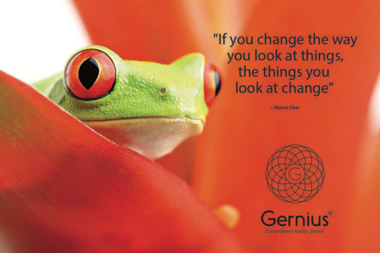 What would frog know