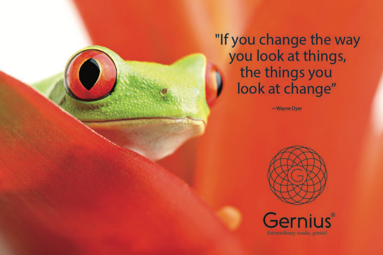 What would frog know